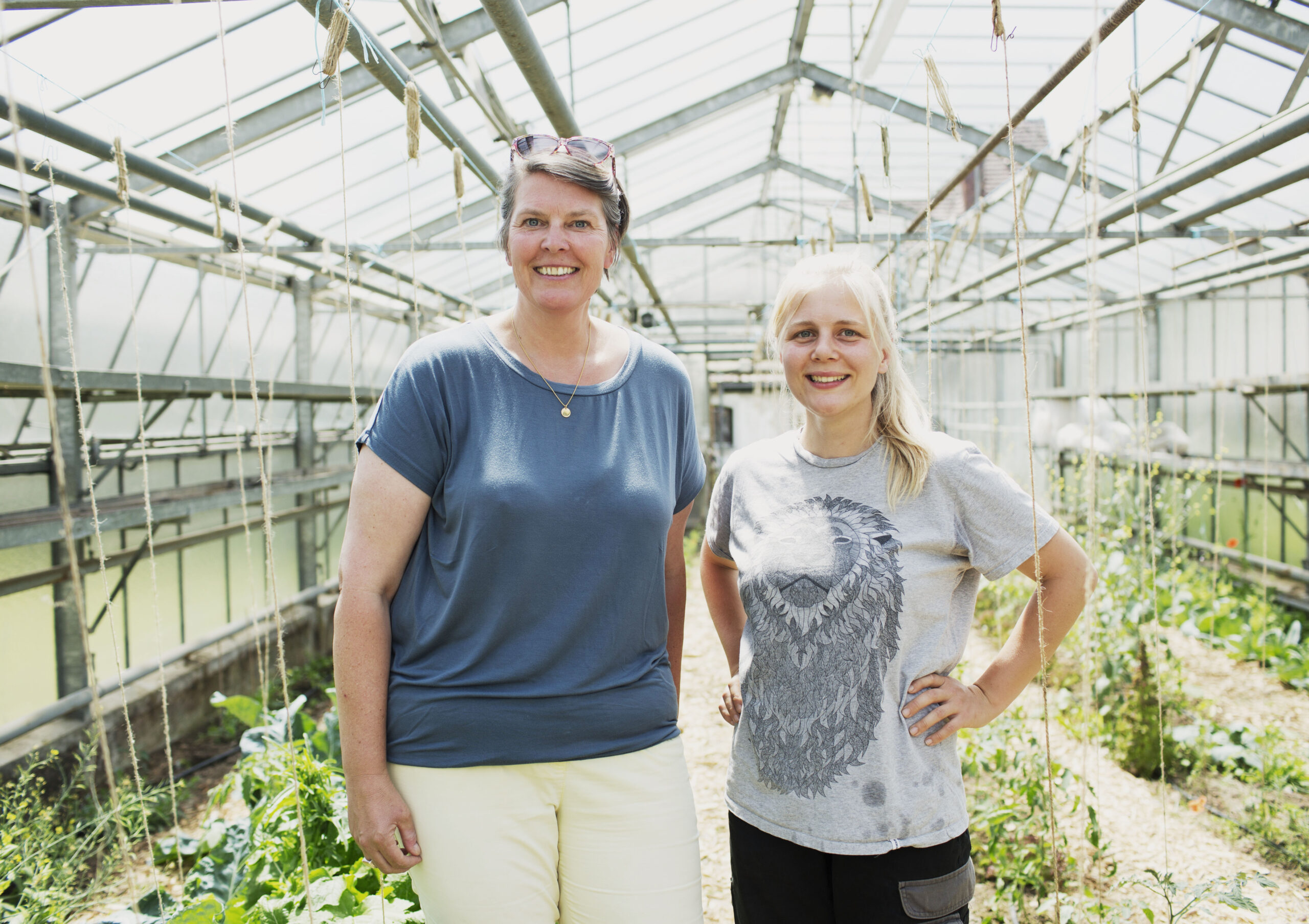Dieses Bild zeigt die Damen der solidarischen Landwirtschaft im Gewächshaus.